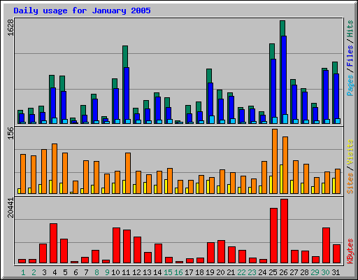 Daily usage for January 2005