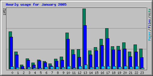 Hourly usage for January 2005